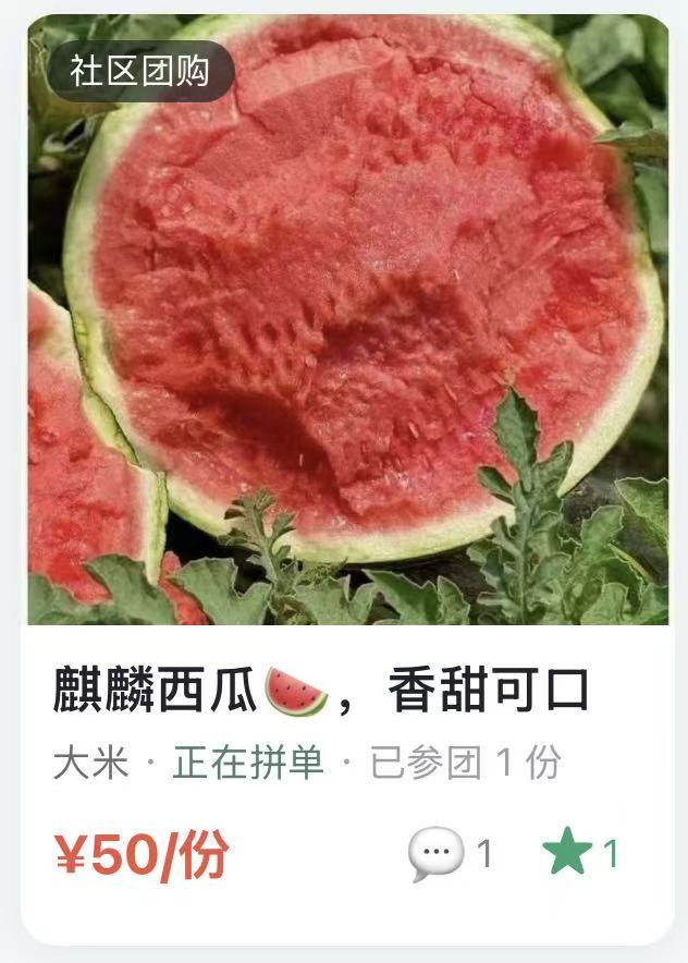 社区团购:麒麟西瓜