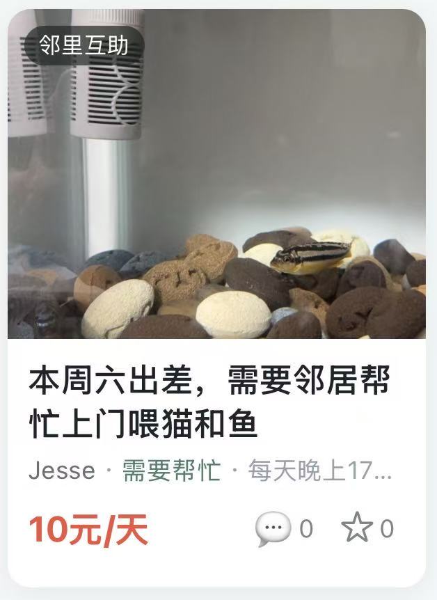 邻里互助:出差期间帮忙上门喂猫和鱼